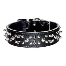 Omni Pet Latigo Leather Spike/Stud Dog Collar Black  1.75 x 22in.