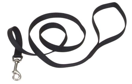 Coastal SinglePly Nylon Dog Leash Black, 1ea/5/8 In X 6 ft