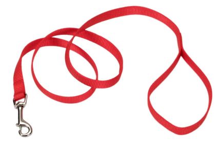Coastal SinglePly Nylon Dog Leash Red, 1ea/5/8 In X 6 ft