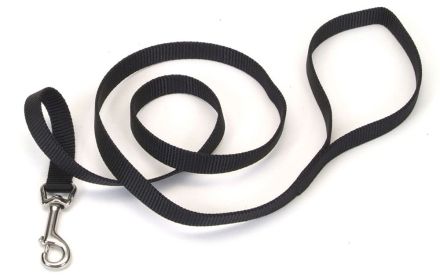 Coastal SinglePly Nylon Dog Leash Black, 1ea/3/4 In X 6 ft