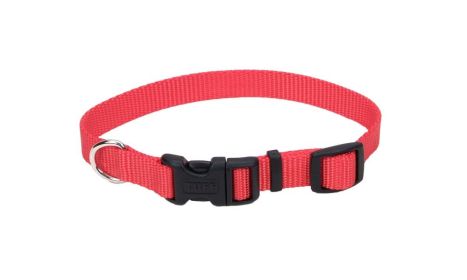 Coastal Adjustable Nylon Dog Collar with Plastic Buckle Red, 1ea/3/4 In X 1420 in