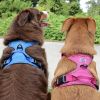 Venture Paw PULL CONTROL Harness - Mountain Lake